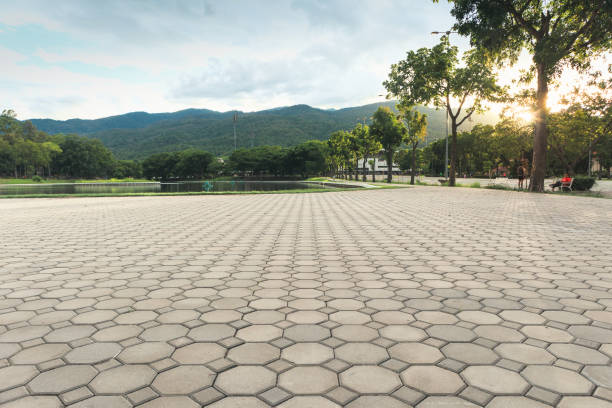 Reasons to Select Us for Your Driveway Paving Requirements in Otis Orchards East Farms, WA